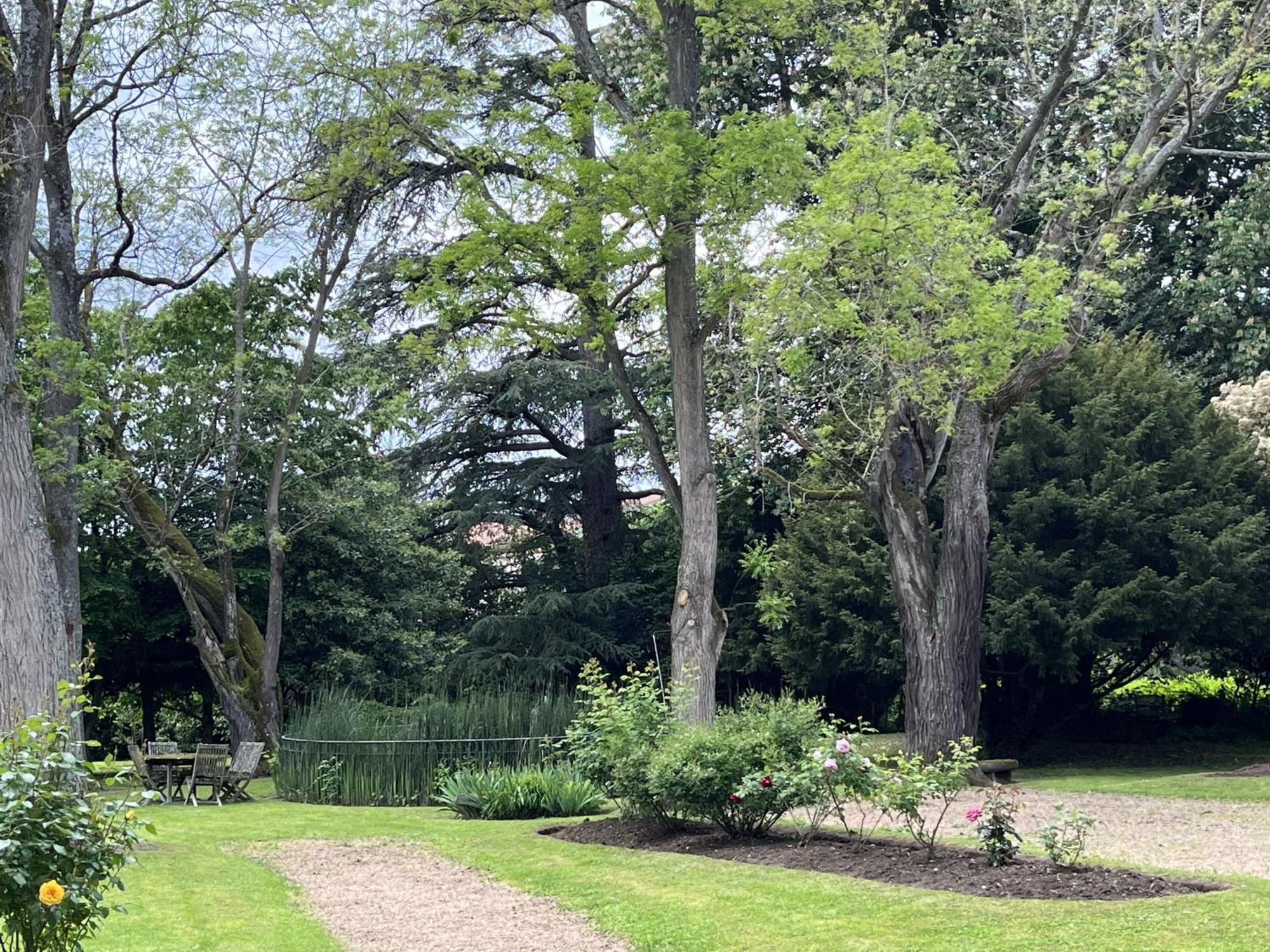 Domaine De Bellescize Hotell Chasselay Eksteriør bilde